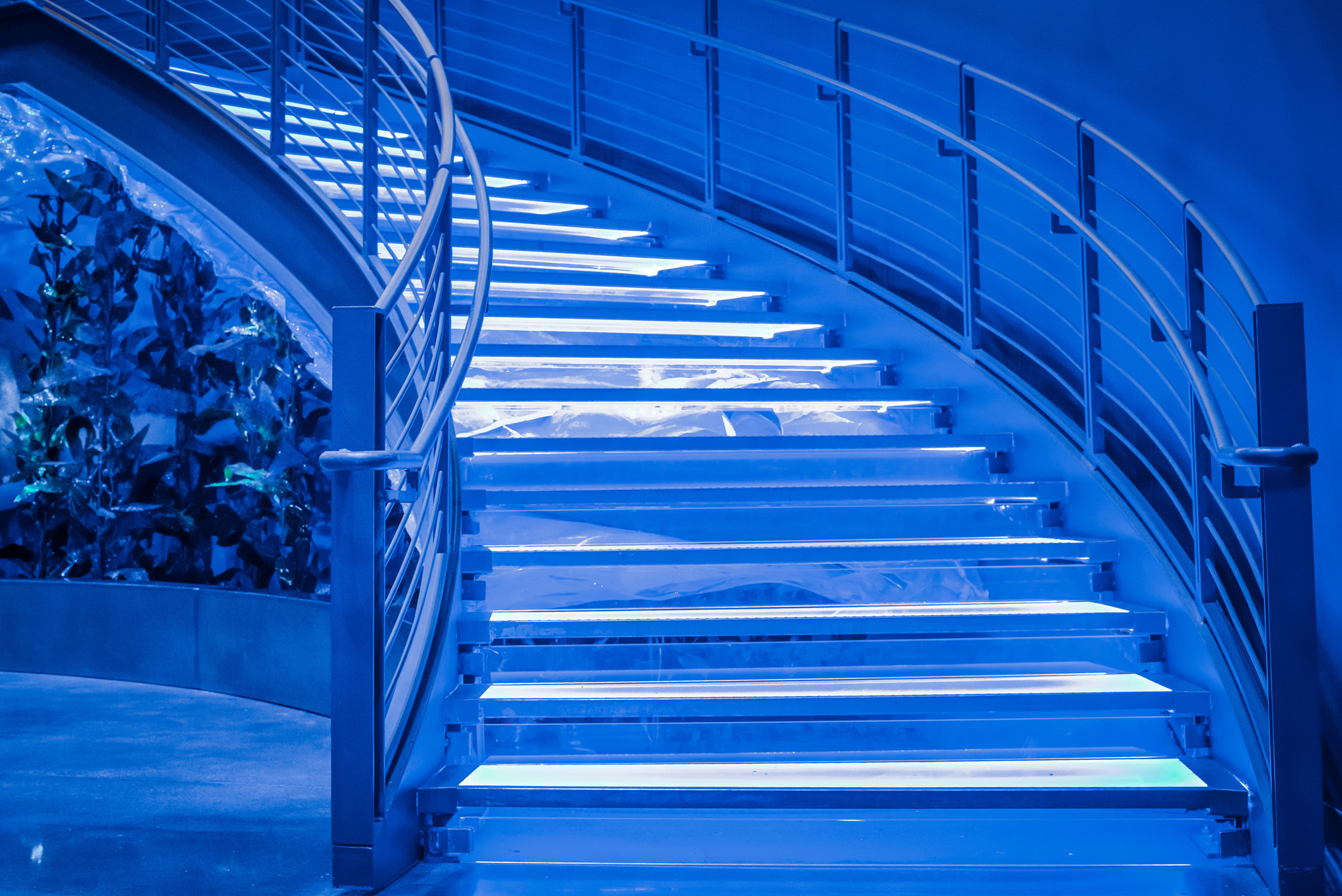 Bass Pro Shops HQ DSC 9033